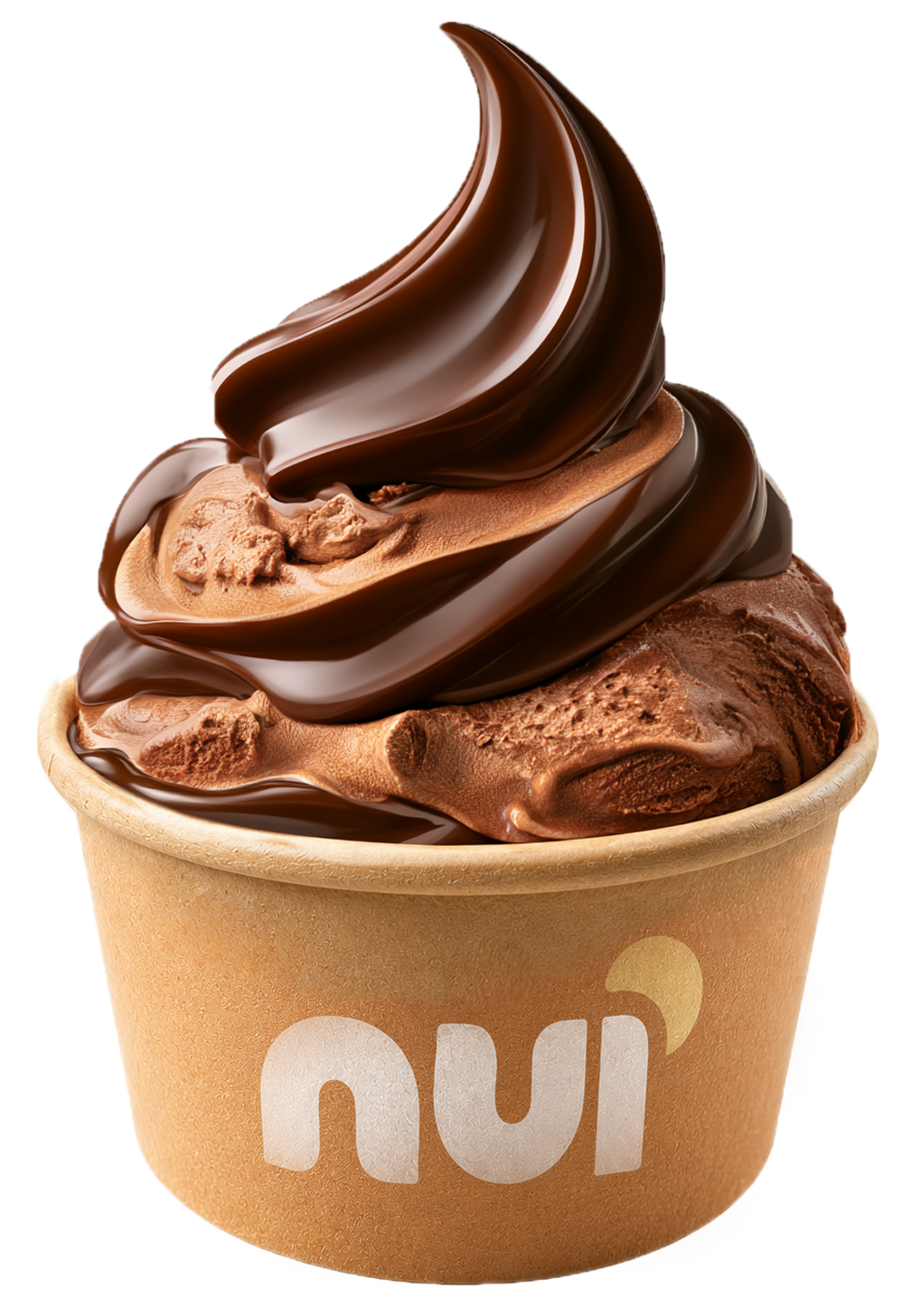 Chocolate protein ice cream